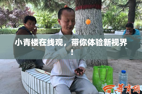 小青楼在线观，带你体验新视界！