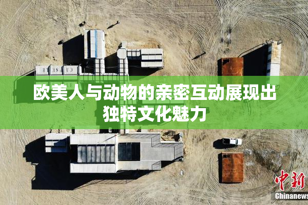 欧美人与动物的亲密互动展现出独特文化魅力