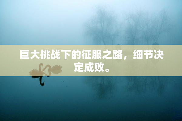 巨大挑战下的征服之路，细节决定成败。