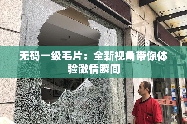 无码一级毛片：全新视角带你体验激情瞬间