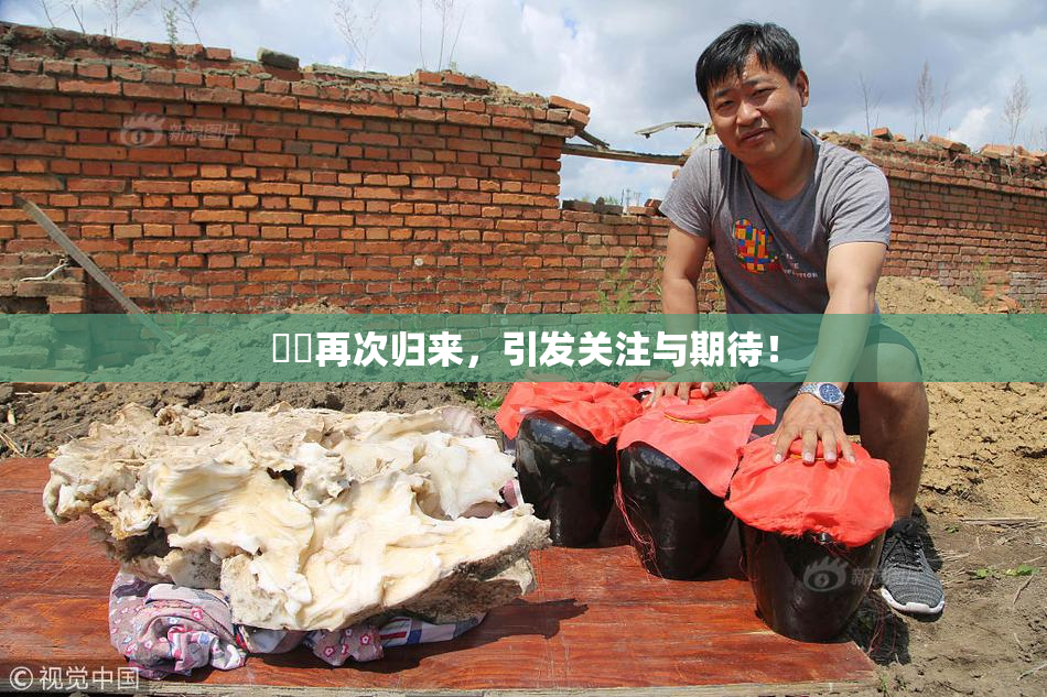 妺妺再次归来，引发关注与期待！