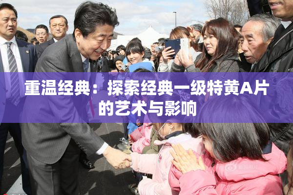 重温经典：探索经典一级特黄A片的艺术与影响