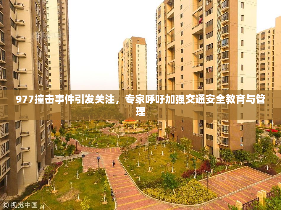 977撞击事件引发关注，专家呼吁加强交通安全教育与管理