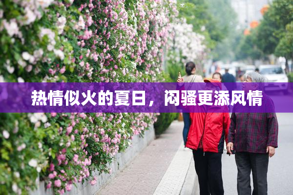 热情似火的夏日，闷骚更添风情