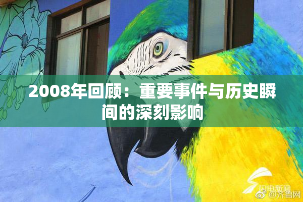 2008年回顾：重要事件与历史瞬间的深刻影响