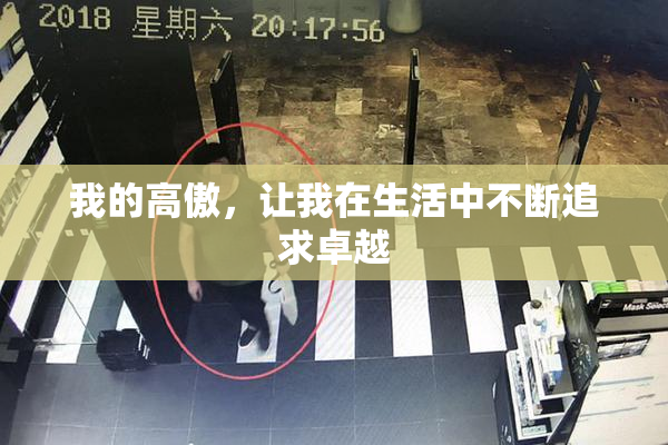我的高傲，让我在生活中不断追求卓越