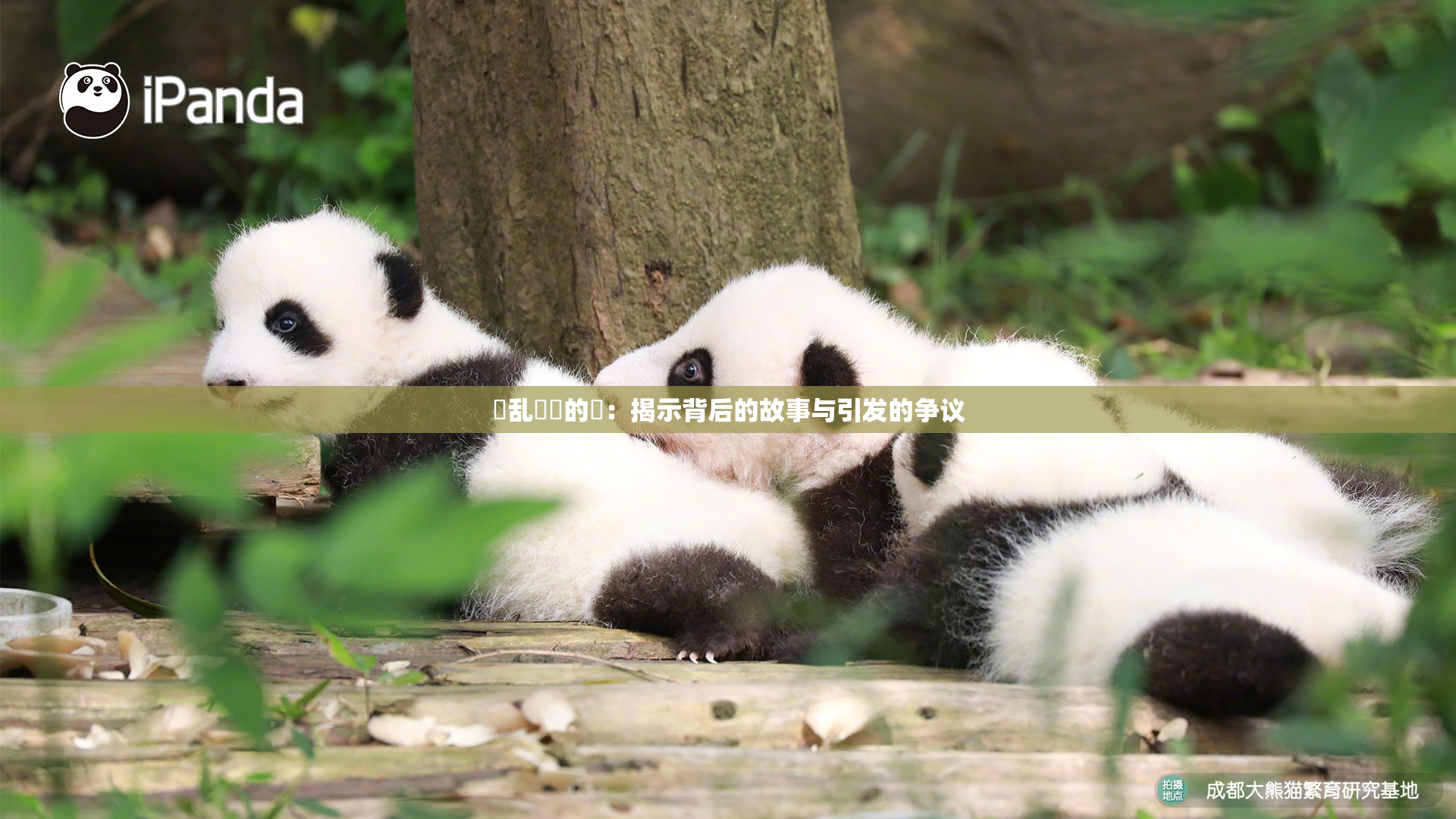 婬乱妺妺的泬：揭示背后的故事与引发的争议