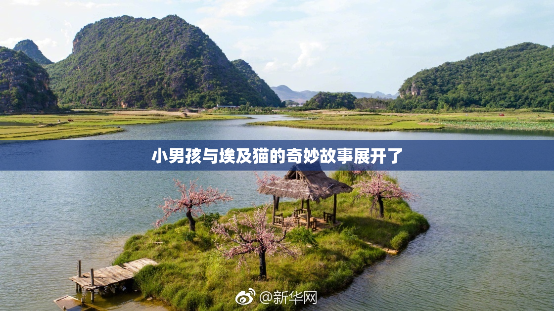 小男孩与埃及猫的奇妙故事展开了