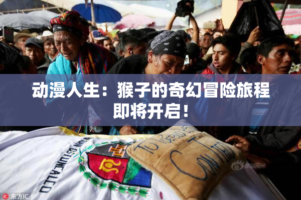 动漫人生：猴子的奇幻冒险旅程即将开启！