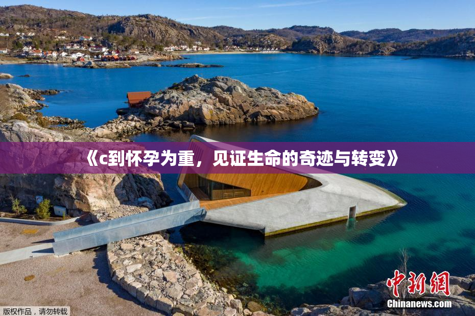 《c到怀孕为重，见证生命的奇迹与转变》