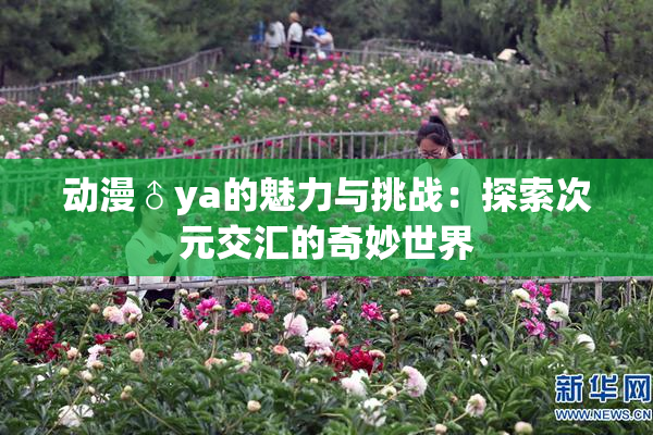 动漫♂ya的魅力与挑战：探索次元交汇的奇妙世界