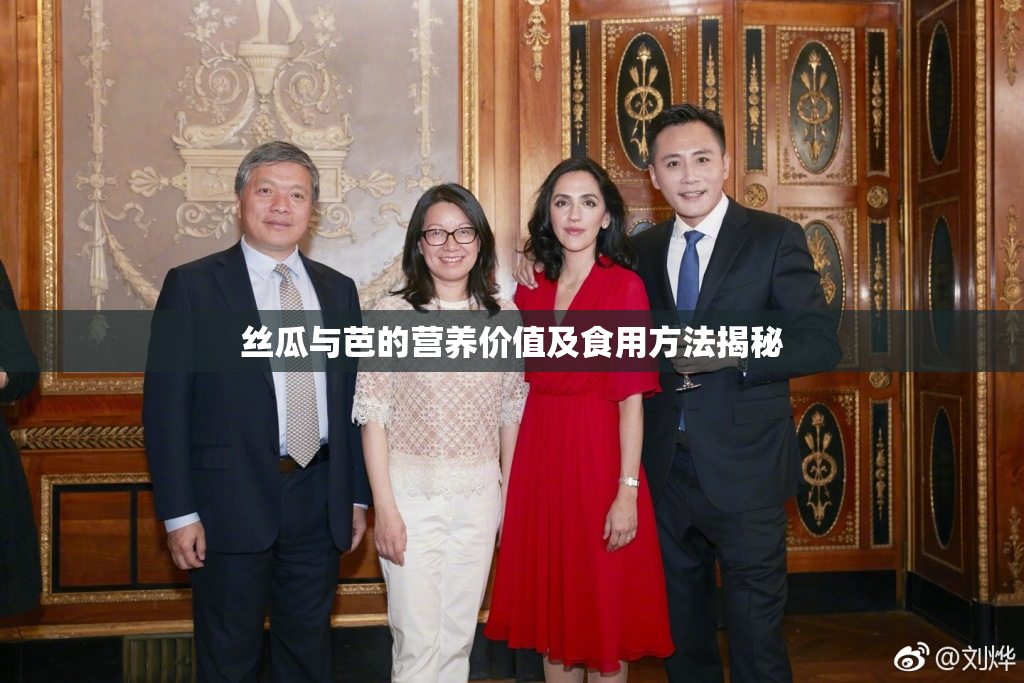 丝瓜与芭的营养价值及食用方法揭秘