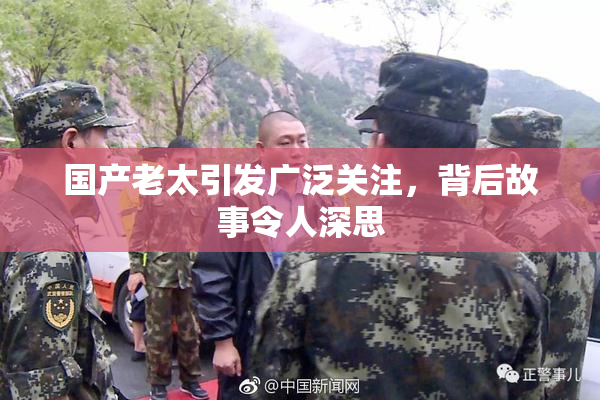国产老太引发广泛关注，背后故事令人深思