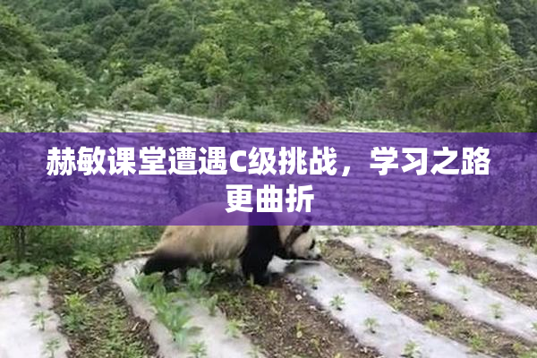 赫敏课堂遭遇C级挑战，学习之路更曲折