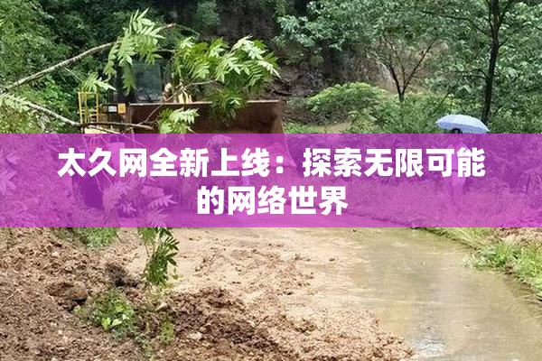 太久网全新上线：探索无限可能的网络世界