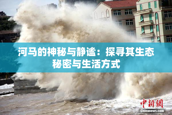 河马的神秘与静谧：探寻其生态秘密与生活方式