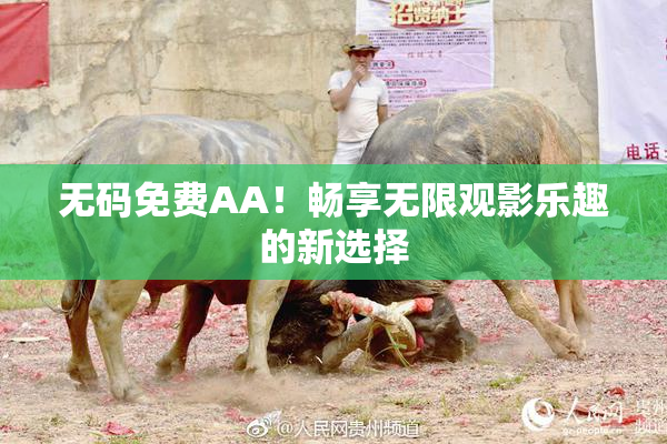 无码免费AA！畅享无限观影乐趣的新选择