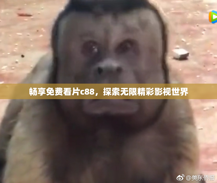 畅享免费看片c88，探索无限精彩影视世界