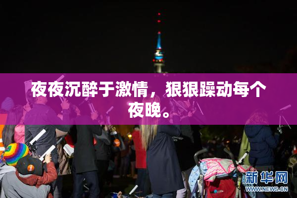 夜夜沉醉于激情，狠狠躁动每个夜晚。