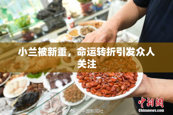 小兰被新重，命运转折引发众人关注