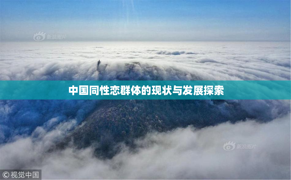 中国同性恋群体的现状与发展探索