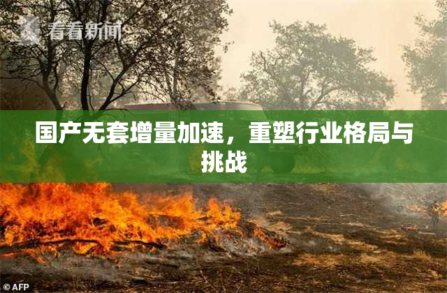 国产无套增量加速，重塑行业格局与挑战