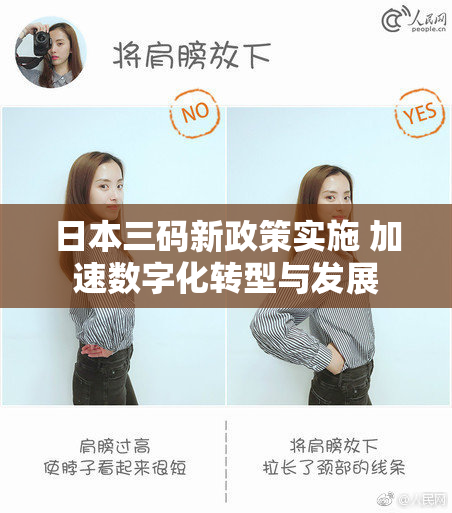 日本三码新政策实施 加速数字化转型与发展