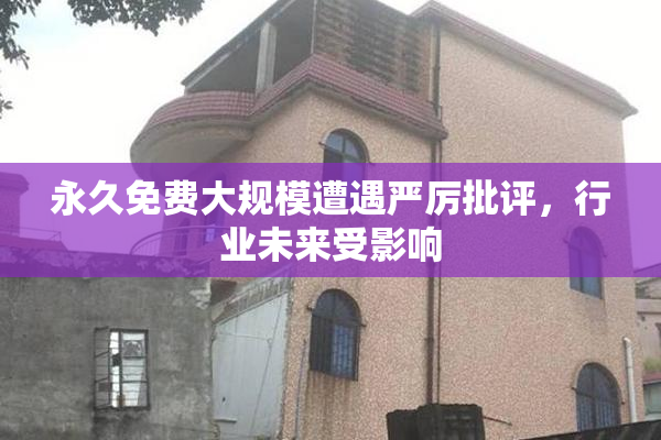 永久免费大规模遭遇严厉批评，行业未来受影响