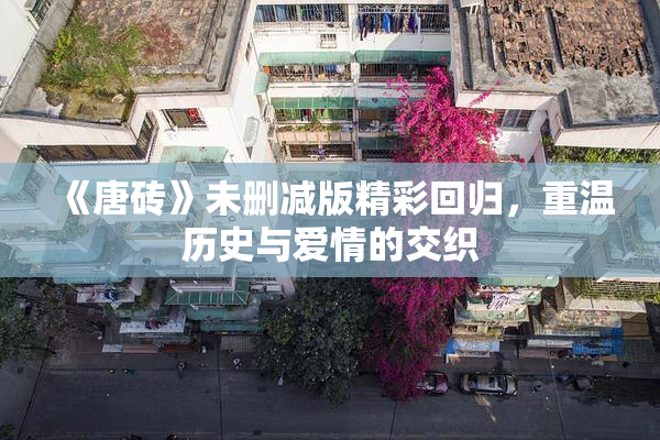 《唐砖》未删减版精彩回归，重温历史与爱情的交织