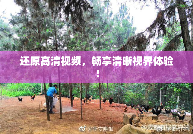 还原高清视频，畅享清晰视界体验！