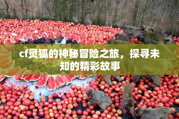 cf灵狐的神秘冒险之旅，探寻未知的精彩故事