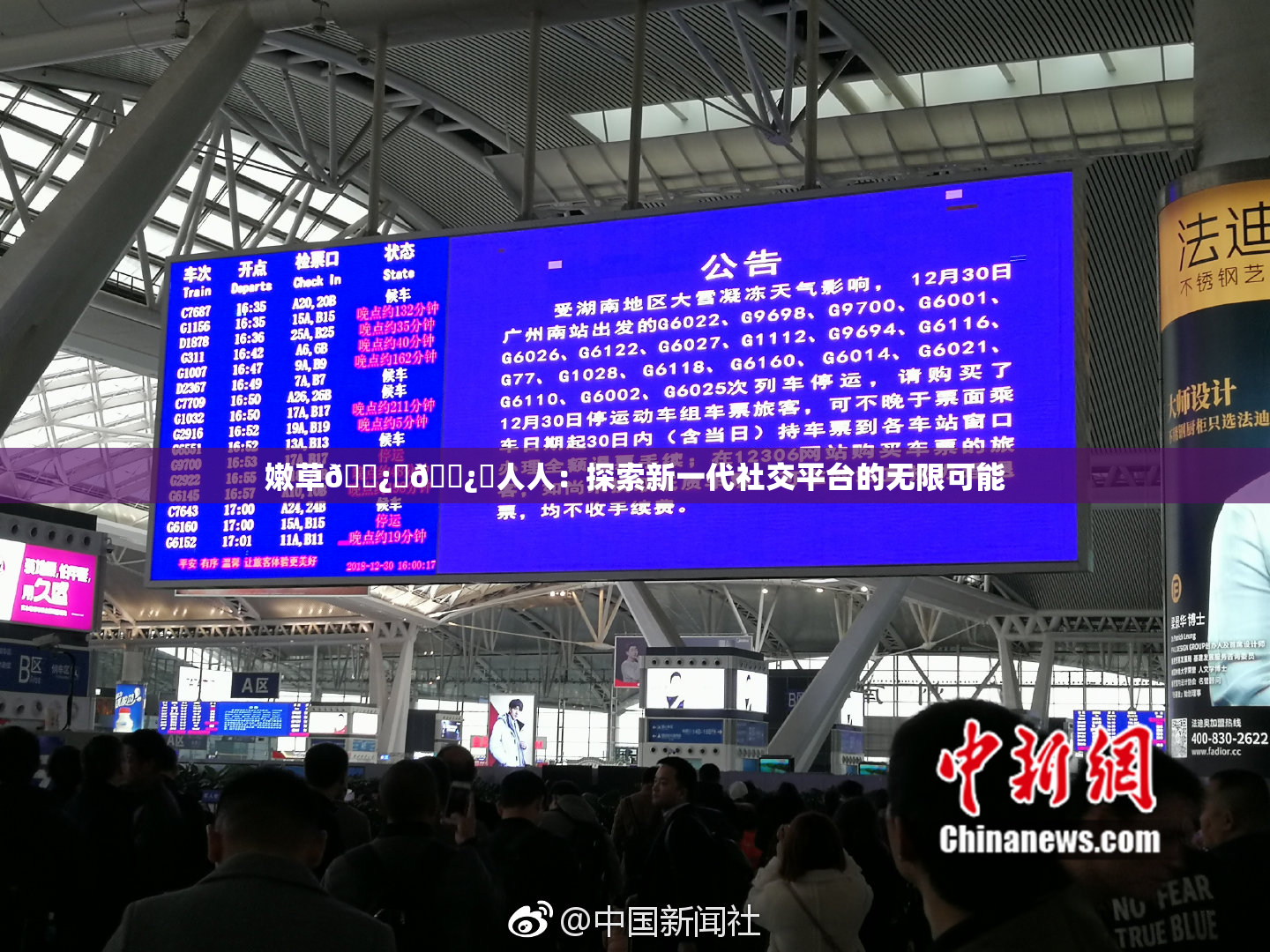 嫩草🌿‌🌿‌人人：探索新一代社交平台的无限可能