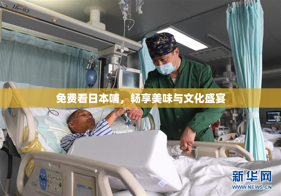 免费看日本哺，畅享美味与文化盛宴