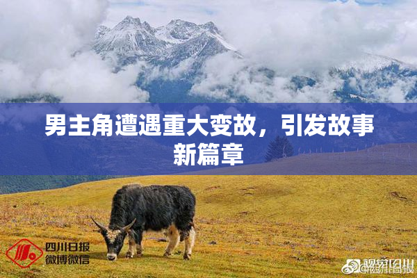男主角遭遇重大变故，引发故事新篇章
