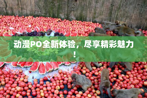 动漫PO全新体验，尽享精彩魅力！