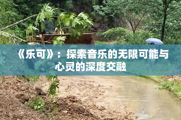 《乐可》：探索音乐的无限可能与心灵的深度交融