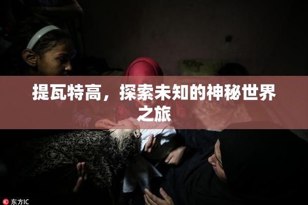 提瓦特高，探索未知的神秘世界之旅