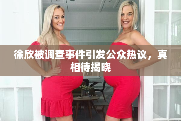 徐欣被调查事件引发公众热议，真相待揭晓