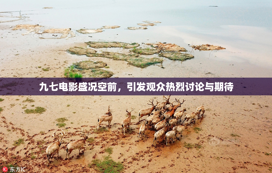 九七电影盛况空前，引发观众热烈讨论与期待