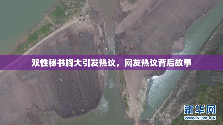 双性秘书胸大引发热议，网友热议背后故事