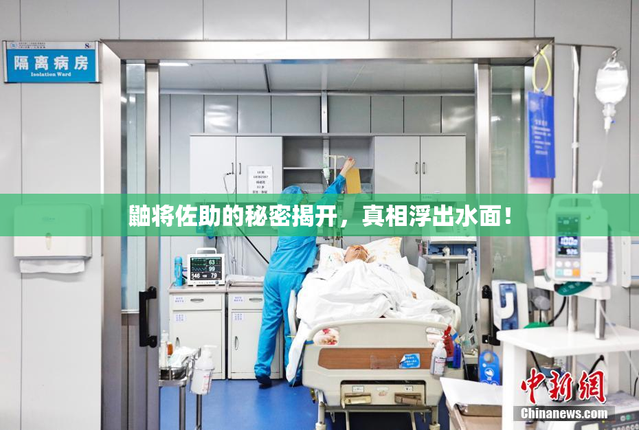 鼬将佐助的秘密揭开，真相浮出水面！