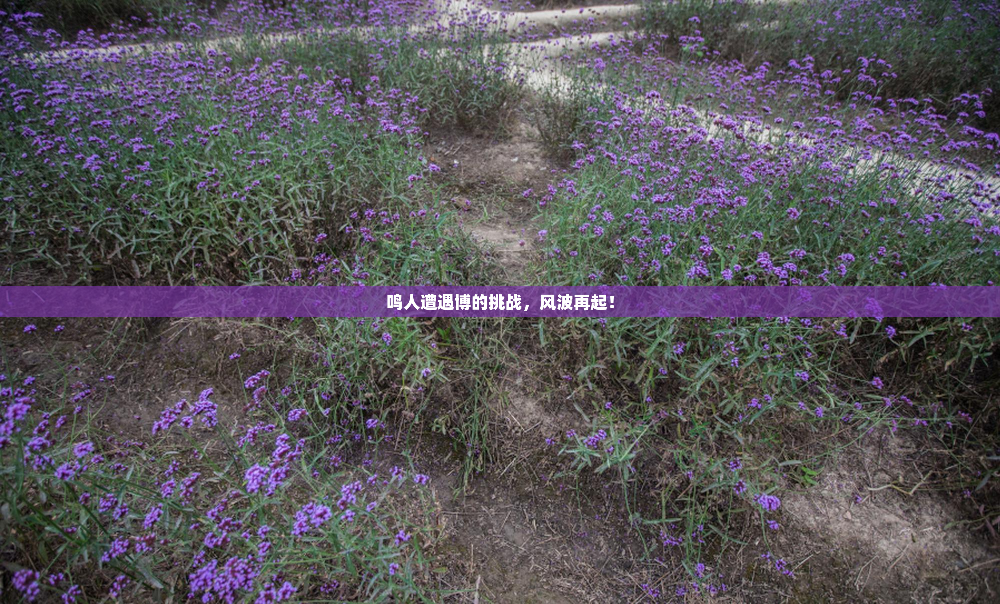 鸣人遭遇博的挑战，风波再起！