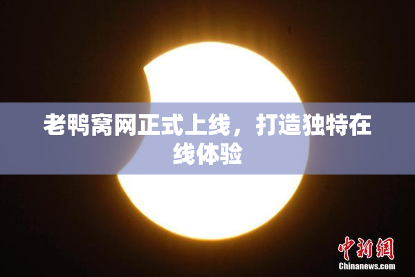 老鸭窝网正式上线，打造独特在线体验