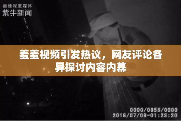 羞羞视频引发热议，网友评论各异探讨内容内幕