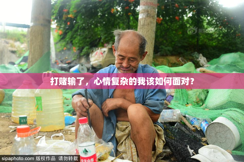 打赌输了，心情复杂的我该如何面对？