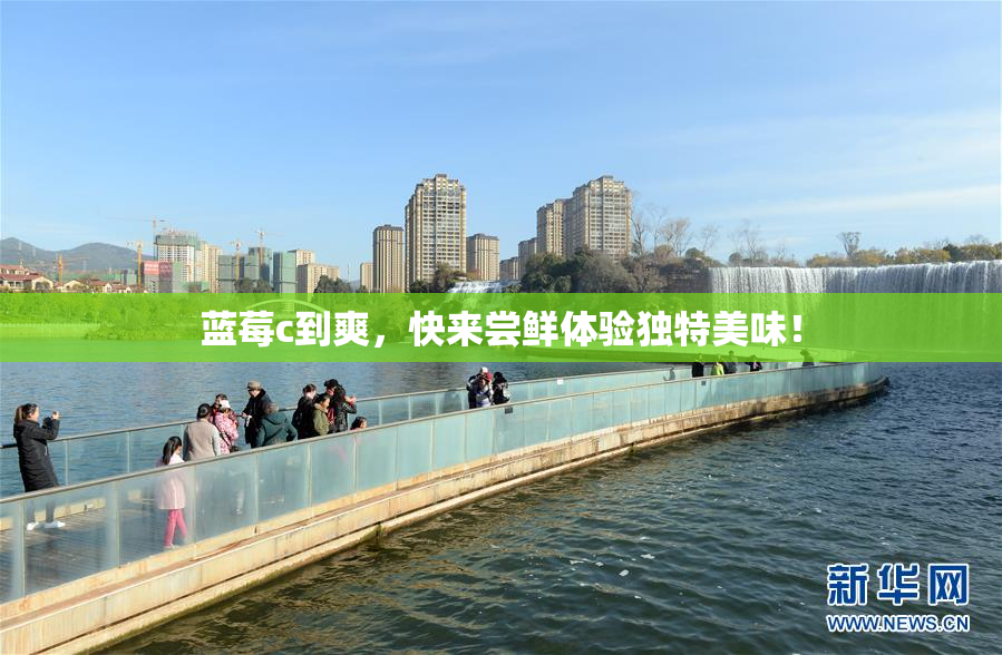 蓝莓c到爽，快来尝鲜体验独特美味！