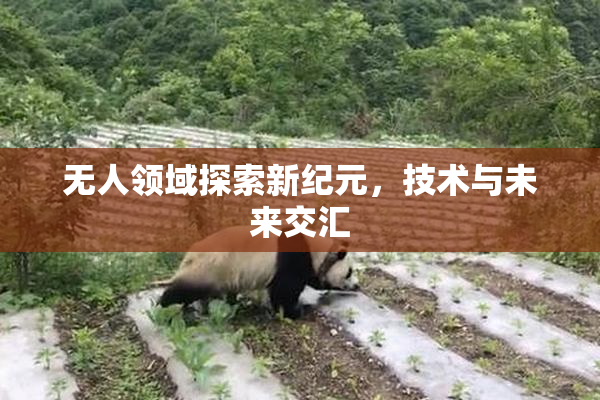 无人领域探索新纪元，技术与未来交汇