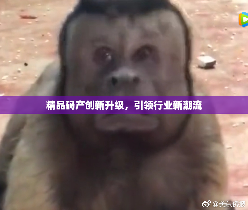 精品码产创新升级，引领行业新潮流
