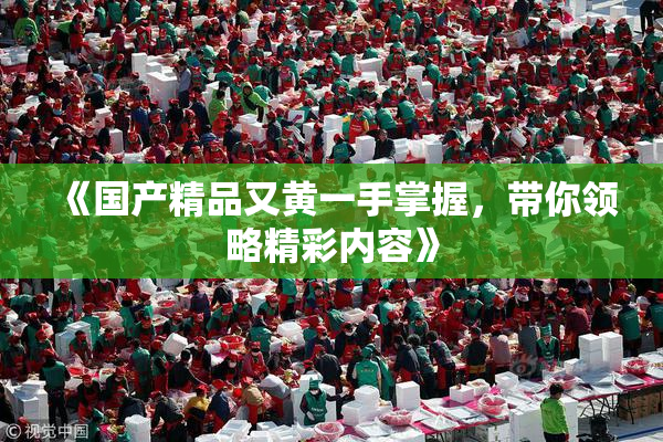 《国产精品又黄一手掌握，带你领略精彩内容》