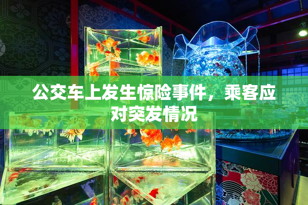 公交车上发生惊险事件，乘客应对突发情况